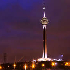 تهران